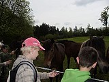 ..ke konské farmě...