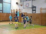 Obrázek v galerii