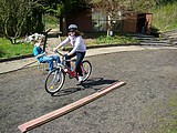 Obrázek v galerii