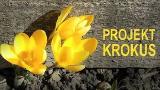Projekt KROKUS