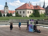 Obrázek v galerii