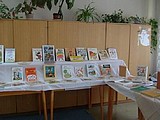 Obrázek v galerii