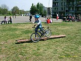Obrázek v galerii