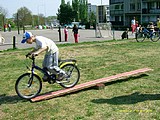 Obrázek v galerii
