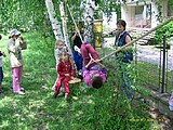 Obrázek v galerii