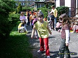 Obrázek v galerii