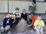 Obrázek v galerii