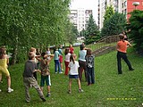 Obrázek v galerii