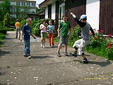 Obrázek v galerii