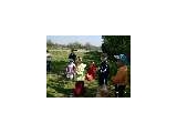 Turnaj v petanque