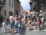 Obrázek v galerii