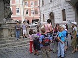 Obrázek v galerii