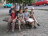 Obrázek v galerii
