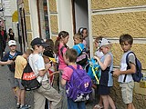 Obrázek v galerii