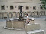 Obrázek v galerii