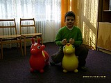 Obrázek v galerii