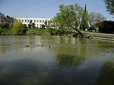 Obrázek v galerii
