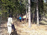 Obrázek v galerii