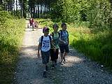 Obrázek v galerii