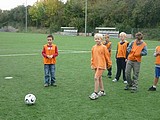 Obrázek v galerii