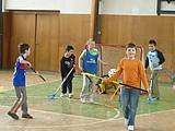 Obrázek v galerii