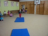 Obrázek v galerii
