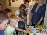 Obrázek v galerii