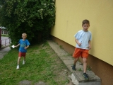 Obrázek v galerii