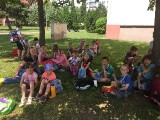 PROJEKT VČELY- KAČINA