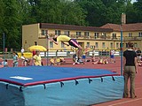 Obrázek v galerii