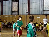 Obrázek v galerii