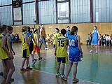 Obrázek v galerii