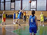 Obrázek v galerii
