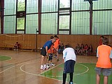 Obrázek v galerii