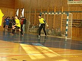 Obrázek v galerii
