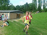 Obrázek v galerii