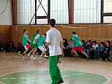 Obrázek v galerii
