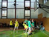 Obrázek v galerii