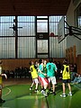 Obrázek v galerii