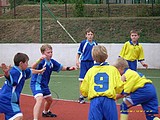 Obrázek v galerii