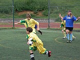 Obrázek v galerii