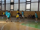Obrázek v galerii
