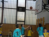 Obrázek v galerii