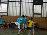 Obrázek v galerii