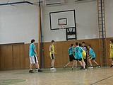 Obrázek v galerii