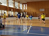 Obrázek v galerii