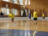 Obrázek v galerii