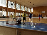 Obrázek v galerii