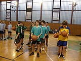 Obrázek v galerii