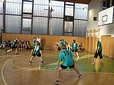 Obrázek v galerii